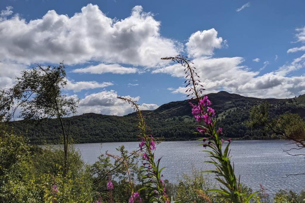 Rowan Cottage, Crannachcottages Garve Buitenkant foto