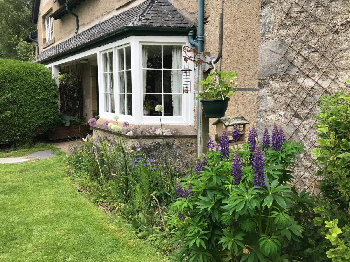 Rowan Cottage, Crannachcottages Garve Buitenkant foto