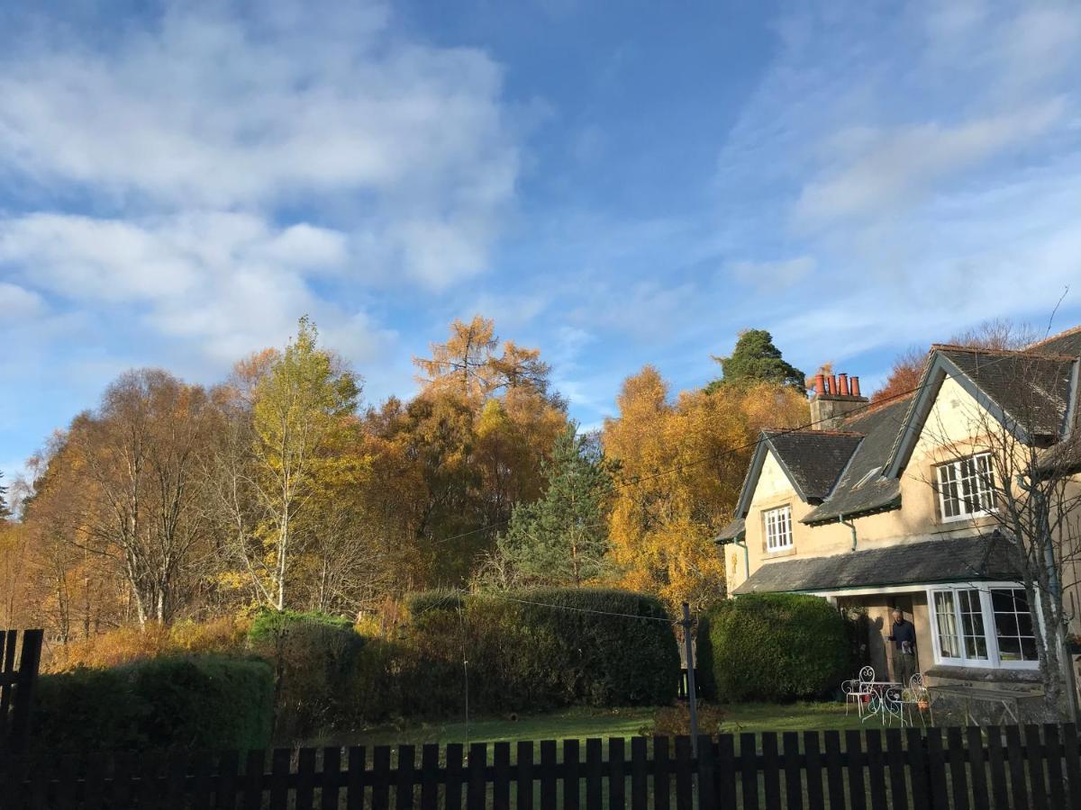 Rowan Cottage, Crannachcottages Garve Buitenkant foto