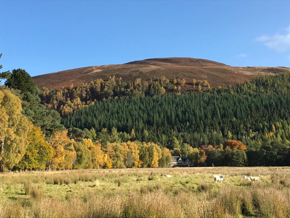 Rowan Cottage, Crannachcottages Garve Buitenkant foto